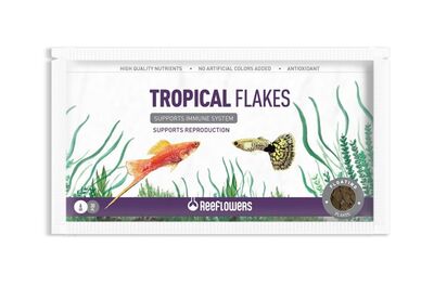 Reeflowers Tropical Flakes Pul Yem 6 Gram Zarf - 1