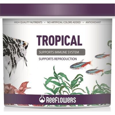 Reeflowers Tropical Granulat Balık Yemi 100 Gram - 1