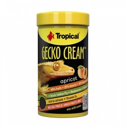 Tropical Gecko Cream Apricot 100 ML - Tropical