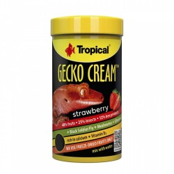 Tropical Gecko Cream Strawberry 100 ML - Tropical