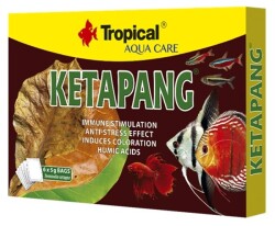 Tropical Ketapang 5 Gr. 6 Adet - Tropical