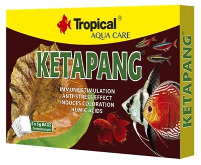 Tropical Ketapang 5 Gr. 6 Adet - 1